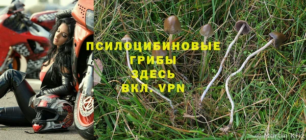 синтетический гашиш Алексин