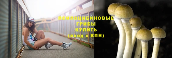 метадон Алексеевка