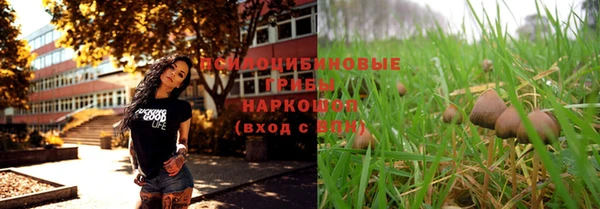 метадон Алексеевка