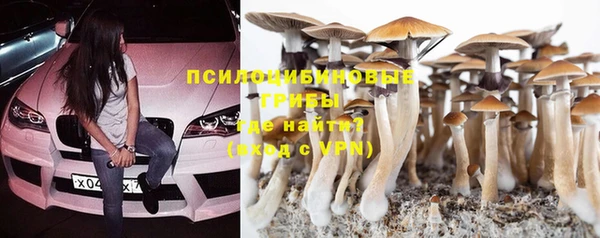 метадон Алексеевка