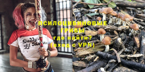 гидропоника Алзамай
