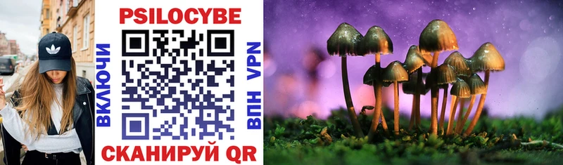 Галлюциногенные грибы MAGIC MUSHROOMS Светлый