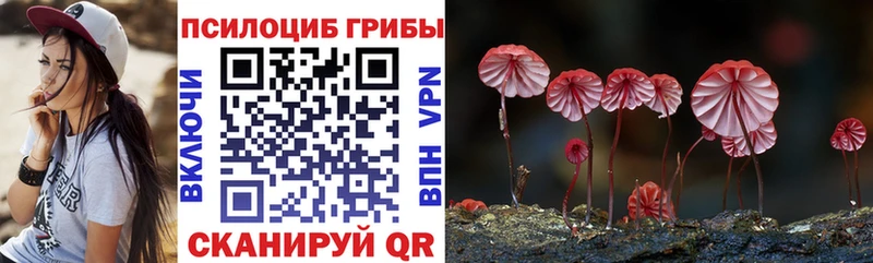 Купить где  Светлый  Псилоцибиновые грибы ЛСД 